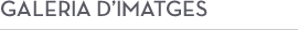 Galeria d'imatges